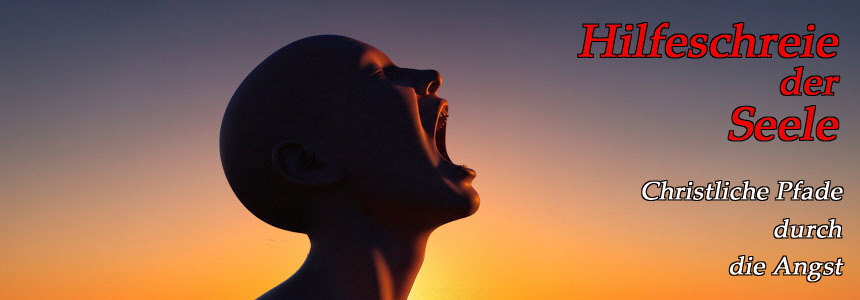 860x300 Hilfeschrei02